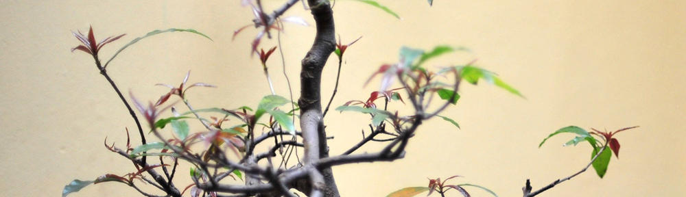 1win-entry-official.site